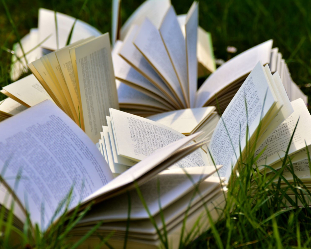 a photo of books